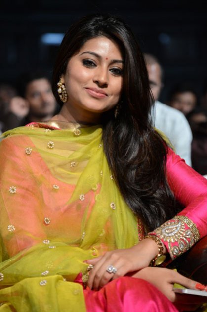 Ulavacharu-Biryani-Audio-Launch